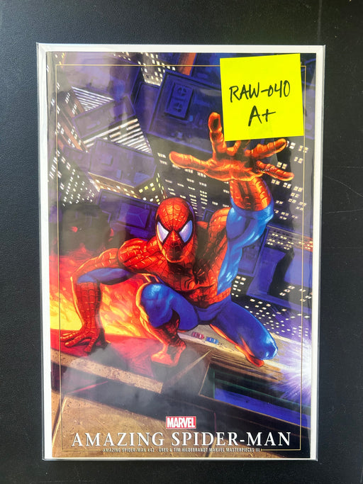 HILDEBRANDT - SPIDER-MAN - RAW-040