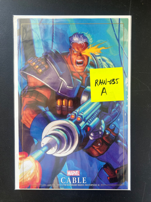 HILDEBRANDT - CABLE - RAW-035