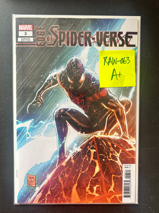 SPIDER-MAN - RAW-063