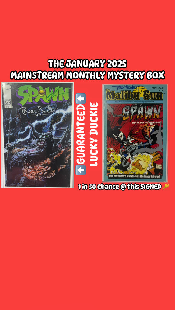 January 2025 Mainstream Monthly Mystery Box - SINGLE PURCHASE MYSTERY BOX