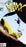 The Maxx #35 - Choose Condition Below (Photo is Stock Photo)