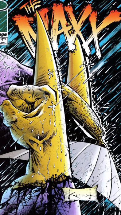 The Maxx #3 - Choose Condition Below (Photo is Stock Photo)