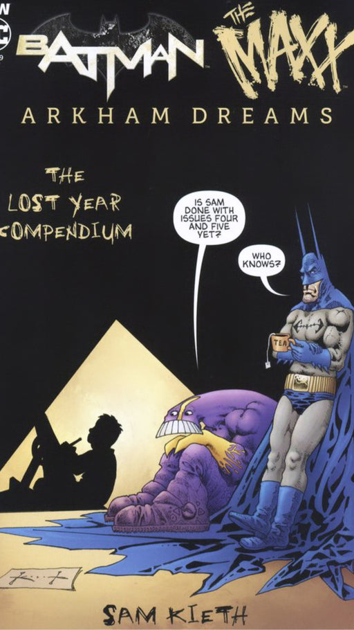 Batman The Maxx The Lost Year Compendium - Choose Condition Below (Photo is Stock Photo)