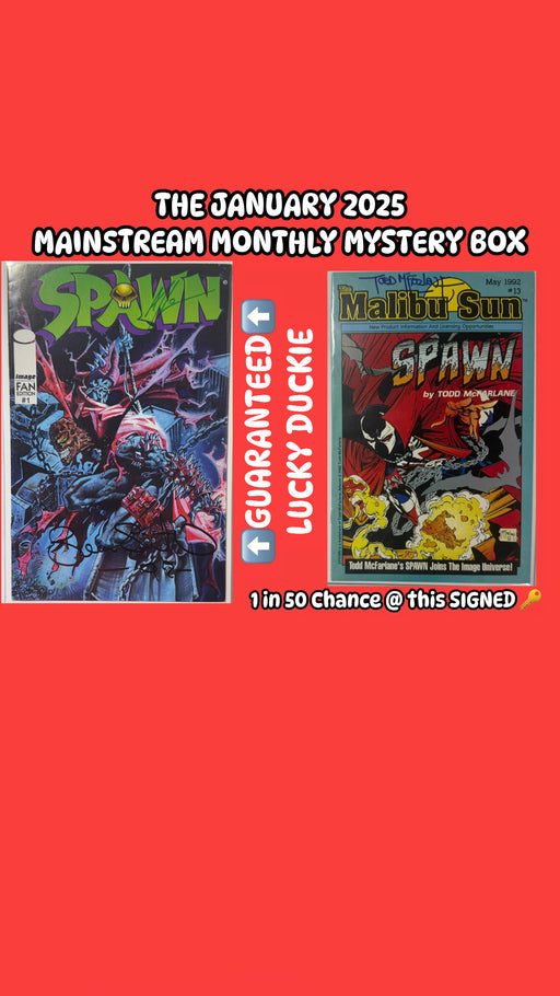 January 2025 Mainstream Monthly Mystery Box - SINGLE PURCHASE MYSTERY BOX