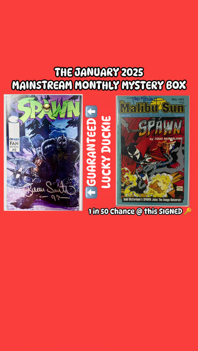 January 2025 Mainstream Monthly Mystery Box - SINGLE PURCHASE MYSTERY BOX